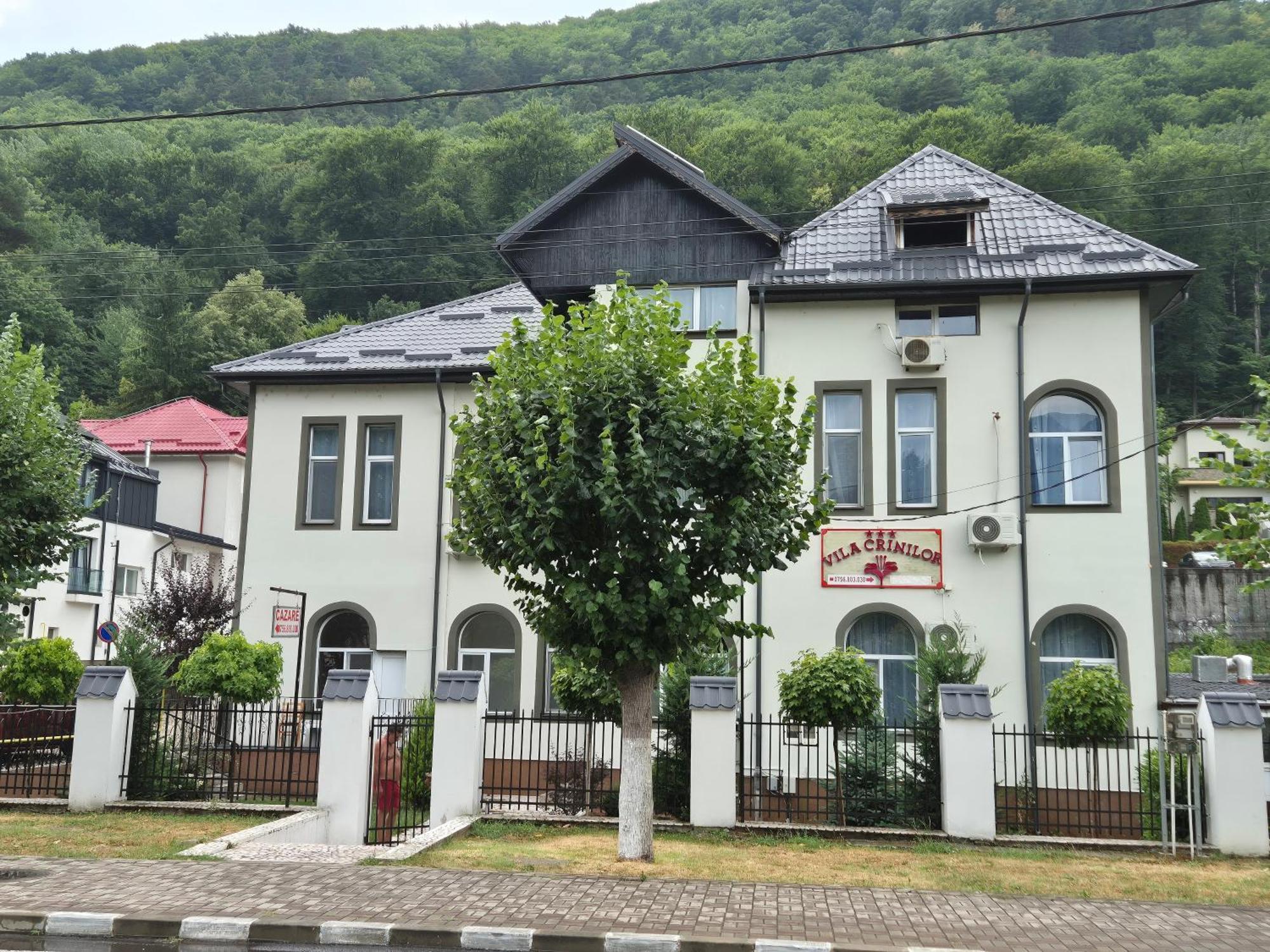 Vila Crinilor Călimăneşti Extérieur photo